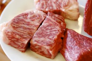 犬猫の生肉食