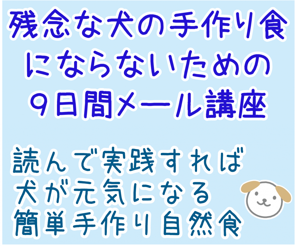 犬の自然食無料メール講座