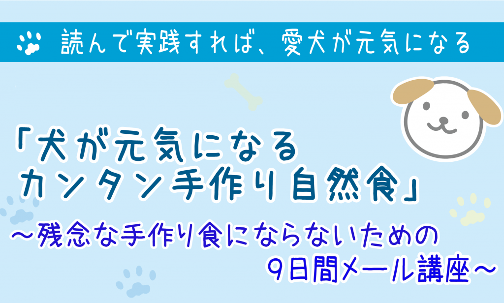 犬の手作りごはんメールセミナー